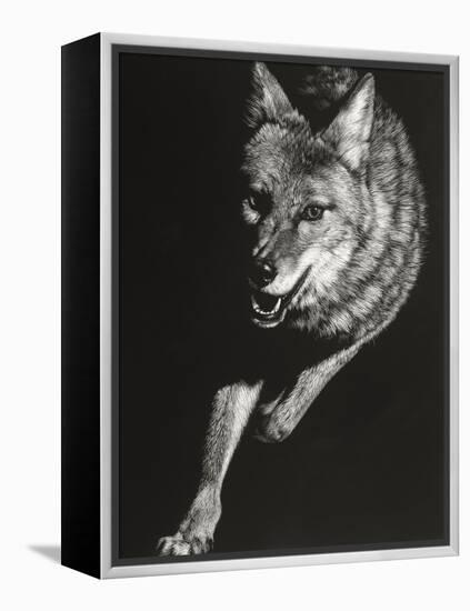 Wild Scratchboard V-Julie Chapman-Framed Stretched Canvas