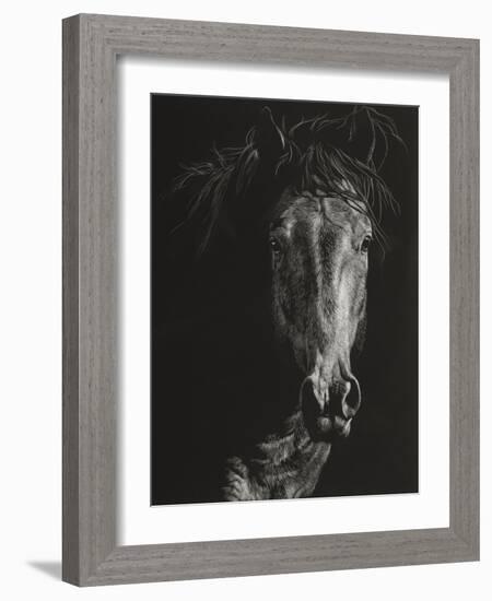 Wild Scratchboard VI-Julie Chapman-Framed Art Print