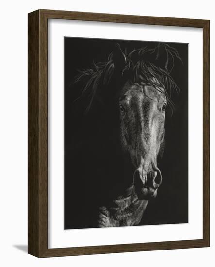 Wild Scratchboard VI-Julie Chapman-Framed Art Print