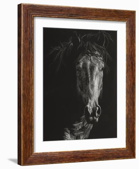 Wild Scratchboard VI-Julie Chapman-Framed Art Print