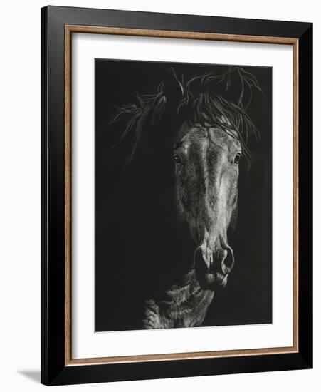 Wild Scratchboard VI-Julie Chapman-Framed Art Print