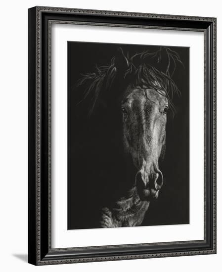 Wild Scratchboard VI-Julie Chapman-Framed Art Print