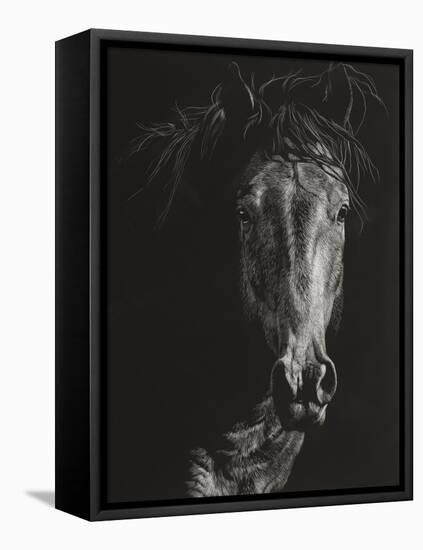 Wild Scratchboard VI-Julie Chapman-Framed Stretched Canvas