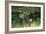 Wild Seating-Mike Toy-Framed Giclee Print