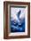 Wild Spirit-Jim Warren-Framed Premium Giclee Print