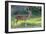 Wild Spotted Deer in Yala National Park, Sri Lanka-Volodymyr Burdiak-Framed Photographic Print