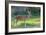 Wild Spotted Deer in Yala National Park, Sri Lanka-Volodymyr Burdiak-Framed Photographic Print