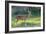 Wild Spotted Deer in Yala National Park, Sri Lanka-Volodymyr Burdiak-Framed Photographic Print