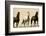 Wild Stallion Horses, Alkali Creek, Cyclone Rim, Continental Divide, Wyoming, USA-Scott T^ Smith-Framed Photographic Print