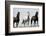 Wild Stallion Horses, Alkali Creek, Cyclone Rim, Continental Divide, Wyoming, USA-Scott T. Smith-Framed Photographic Print