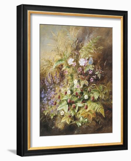 Wild Strawberries and a Butterfly-Albert Lucas-Framed Giclee Print