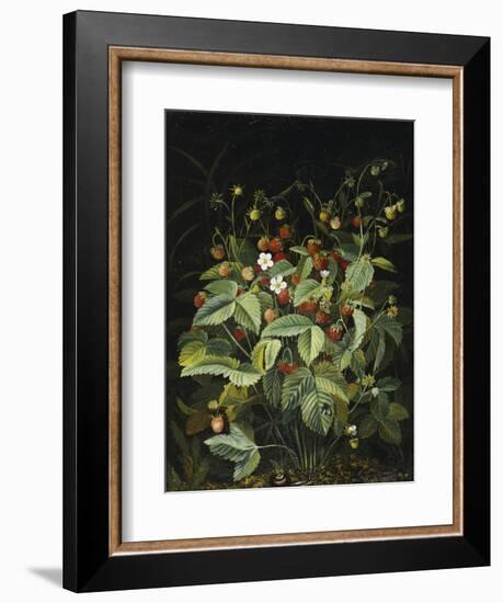 Wild Strawberries-Otto Diderich Ottesen-Framed Giclee Print