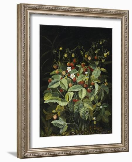 Wild Strawberries-Otto Diderich Ottesen-Framed Giclee Print