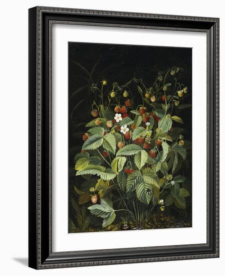 Wild Strawberries-Otto Diderich Ottesen-Framed Giclee Print