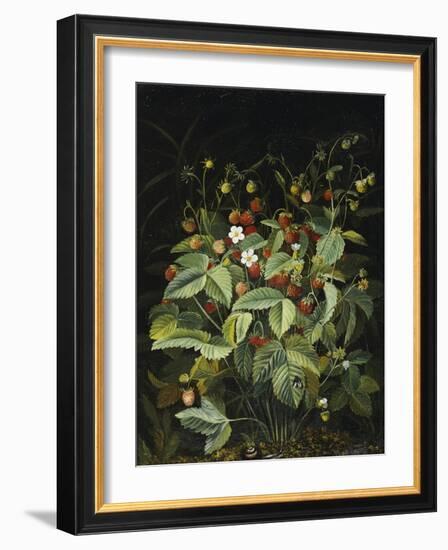 Wild Strawberries-Otto Diderich Ottesen-Framed Giclee Print