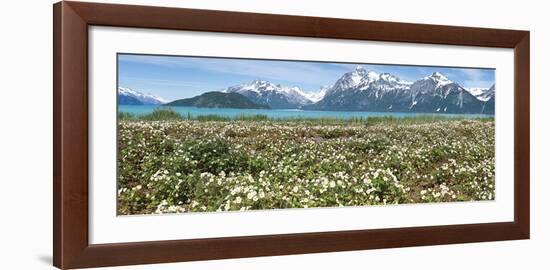 Wild Strawberry Flowers North of Gilbert Bay-Don Paulson-Framed Giclee Print