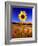 Wild Sunflower Along Dirt Road, SD-John Coletti-Framed Photographic Print