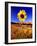 Wild Sunflower Along Dirt Road, SD-John Coletti-Framed Photographic Print