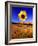 Wild Sunflower Along Dirt Road, SD-John Coletti-Framed Photographic Print