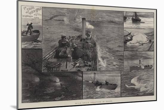 Wild Swan Shooting in Essex-Charles Joseph Staniland-Mounted Giclee Print