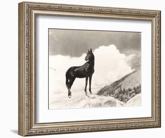 Wild Thing-Everett Collection-Framed Photographic Print