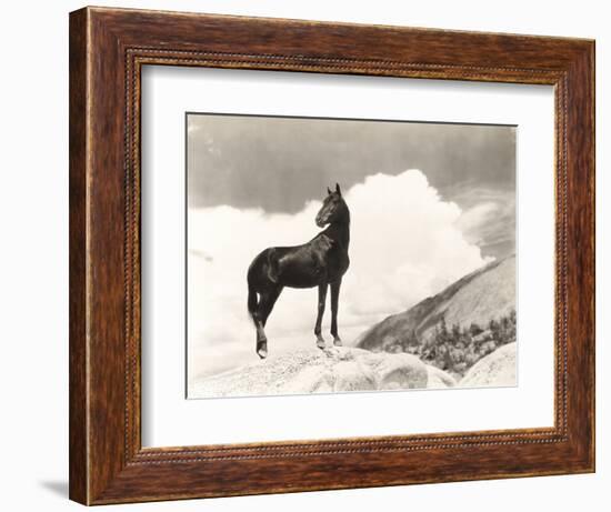 Wild Thing-Everett Collection-Framed Photographic Print