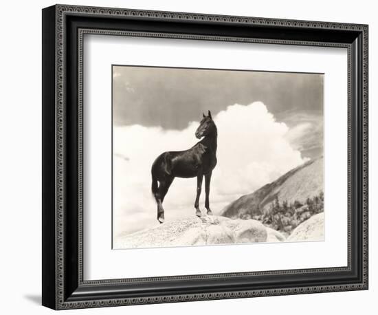 Wild Thing-Everett Collection-Framed Photographic Print