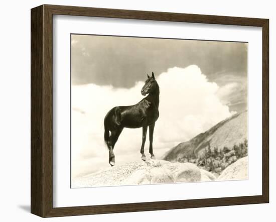 Wild Thing-null-Framed Photo