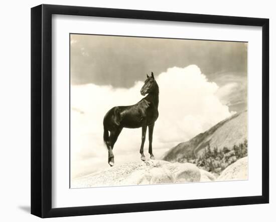 Wild Thing-null-Framed Photo