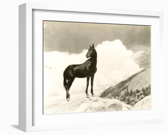 Wild Thing-null-Framed Photo