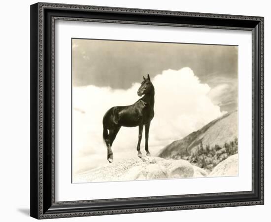 Wild Thing-null-Framed Photo