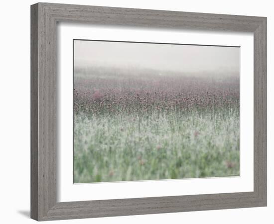 Wild Thistle-null-Framed Photographic Print