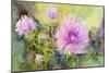 Wild Thistles-Joanne Porter-Mounted Giclee Print