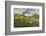 Wild tulips flowering at altitude above Piano Grande plateau-Paul Harcourt Davies-Framed Photographic Print