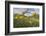 Wild tulips flowering at altitude above Piano Grande plateau-Paul Harcourt Davies-Framed Photographic Print