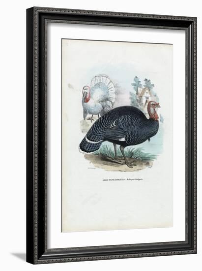 Wild Turkey, 1863-79-Raimundo Petraroja-Framed Giclee Print