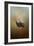 Wild Turkey at Shiloh-Jai Johnson-Framed Giclee Print