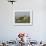 Wild Turkey Charging at a Threat, Indian Lake Estates, Florida, USA-Arthur Morris-Framed Photographic Print displayed on a wall