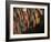 Wild Turkey Feather Close-up, Las Colmenas Ranch, Hidalgo County, Texas, USA-Arthur Morris-Framed Photographic Print