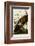 Wild Turkey I-John James Audubon-Framed Art Print