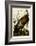 Wild Turkey I-John James Audubon-Framed Art Print