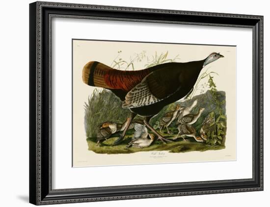 Wild Turkey II-John James Audubon-Framed Giclee Print