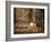 Wild Turkey in the Woods-Jai Johnson-Framed Giclee Print