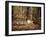 Wild Turkey in the Woods-Jai Johnson-Framed Giclee Print