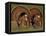 Wild Turkey Males Displaying, Texas, USA-Rolf Nussbaumer-Framed Premier Image Canvas