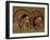 Wild Turkey Males Displaying, Texas, USA-Rolf Nussbaumer-Framed Photographic Print