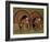 Wild Turkey Males Displaying, Texas, USA-Rolf Nussbaumer-Framed Photographic Print