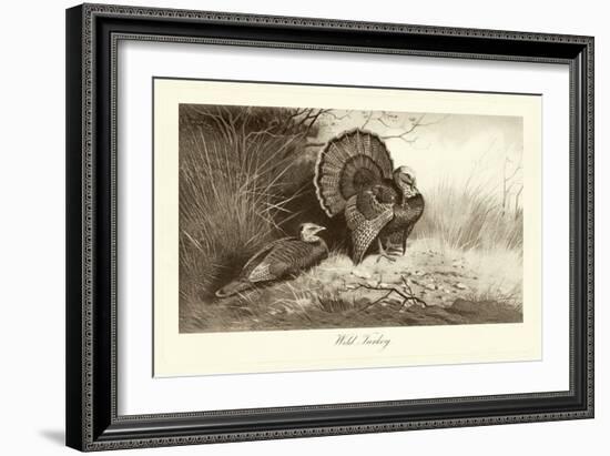 Wild Turkey-A. Thorburn-Framed Art Print