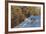 Wild Turkeys Along Rural Road in Winter Near Eureka, Montana-Chuck Haney-Framed Photographic Print