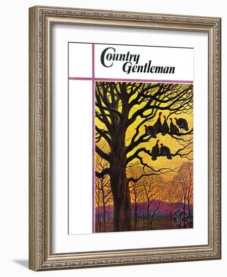 "Wild Turkeys Roosting," Country Gentleman Cover, November 1, 1938-Paul Bransom-Framed Giclee Print